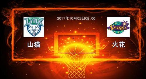 WNBA：洛杉矶火花vs明尼苏达山猫,洛杉矶火花迎战明尼苏达山猫”