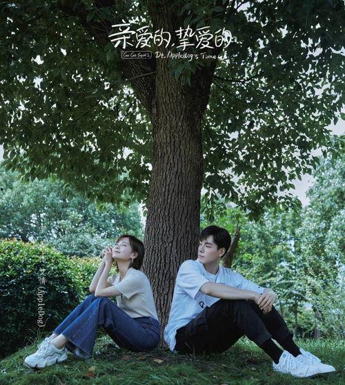 至爱的亲爱的,温情岁月里的情感共鸣