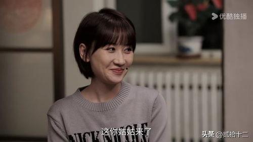 乡村爱情17,新时代农村的青春旋律与奋斗篇章